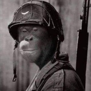 Meet your Posher, Lonnie